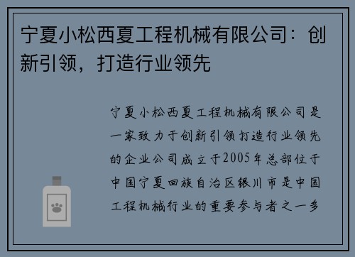 宁夏小松西夏工程机械有限公司：创新引领，打造行业领先