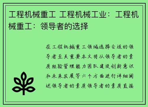 工程机械重工 工程机械工业：工程机械重工：领导者的选择