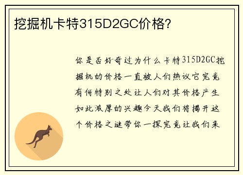 挖掘机卡特315D2GC价格？